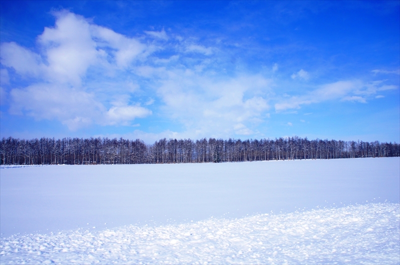 DSC00069_R