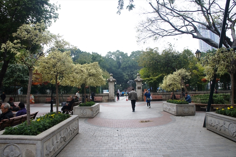DSC01272_R
