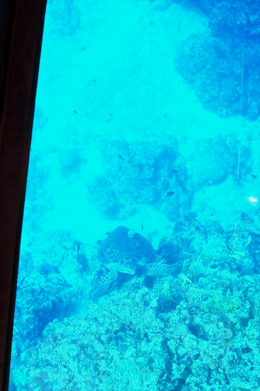 DSC02720_R