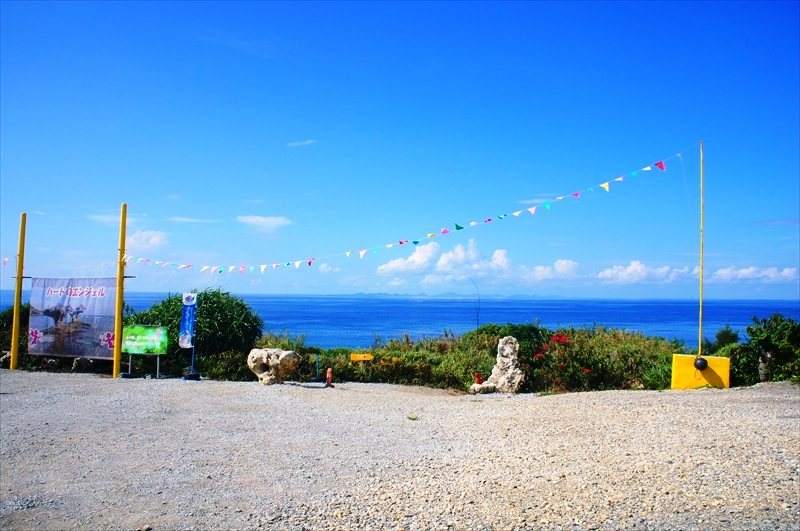 DSC00312_R