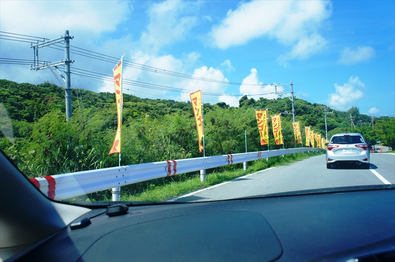 DSC00195_R