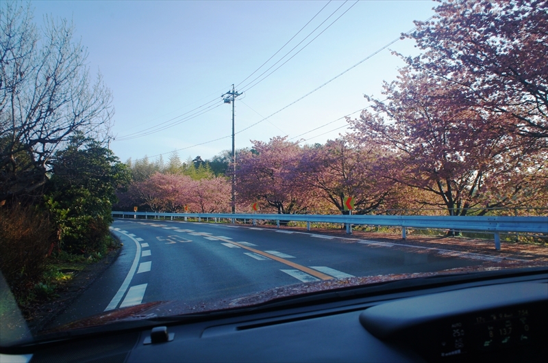 DSC00320_R