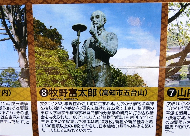 CIMG6366_R