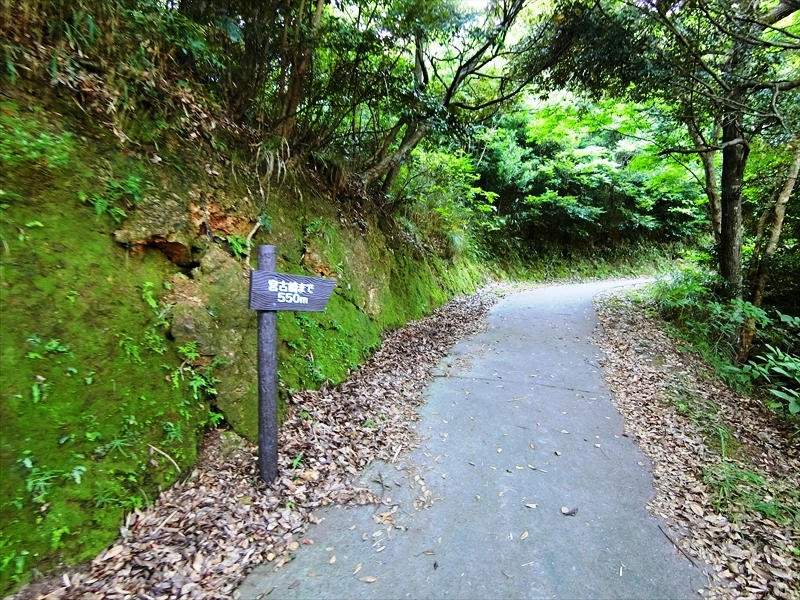 CIMG4779_R