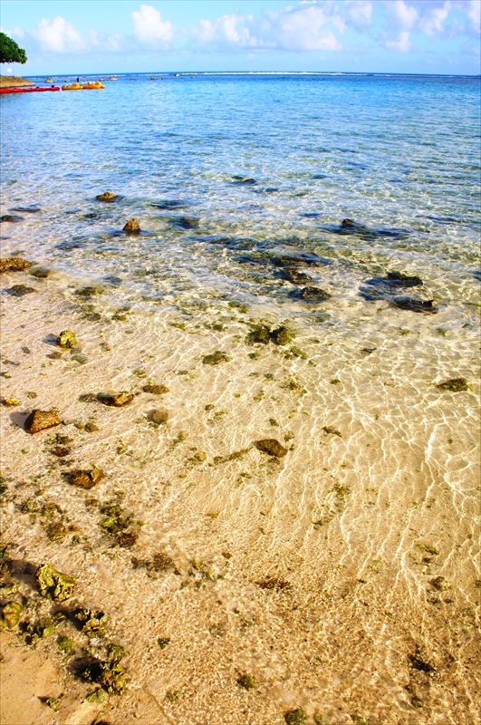 DSC00826_R