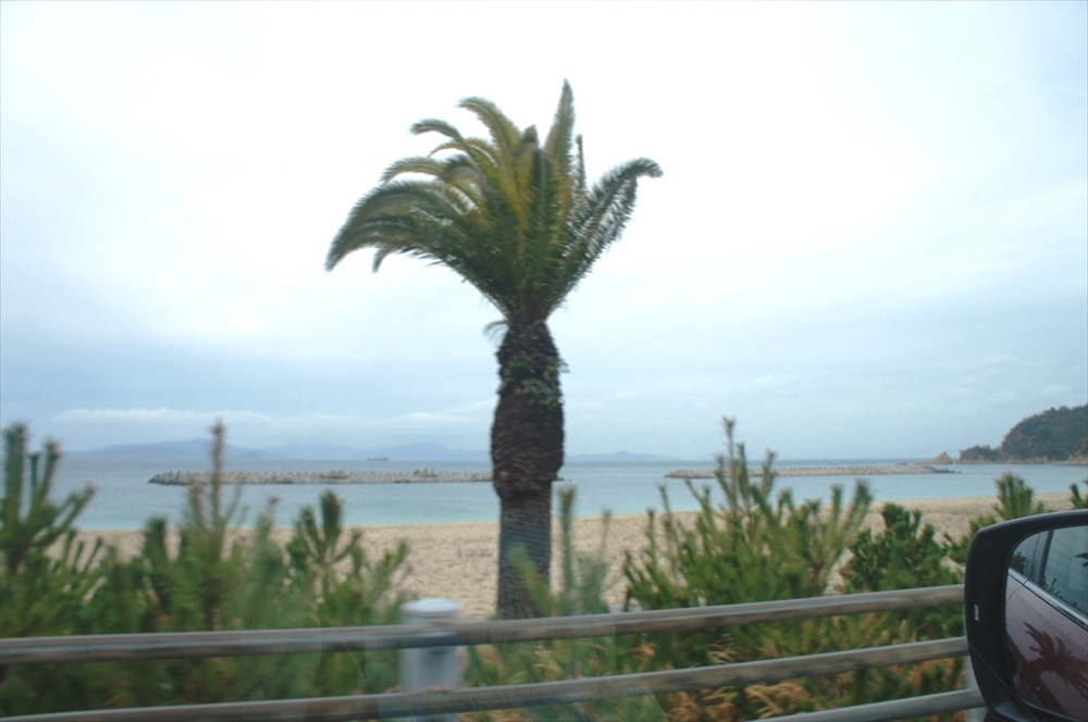 DSC00960_R