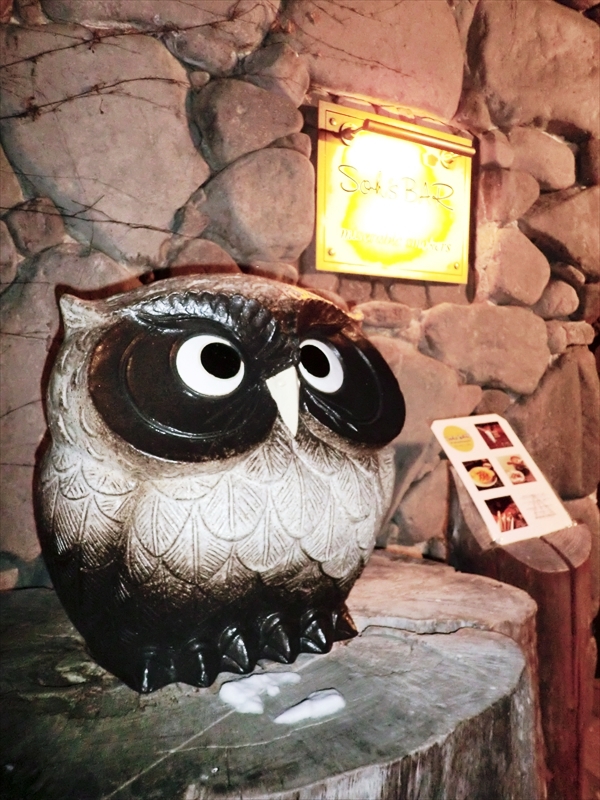 CIMG0934_R