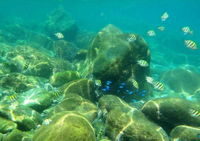 DSC03835_R
