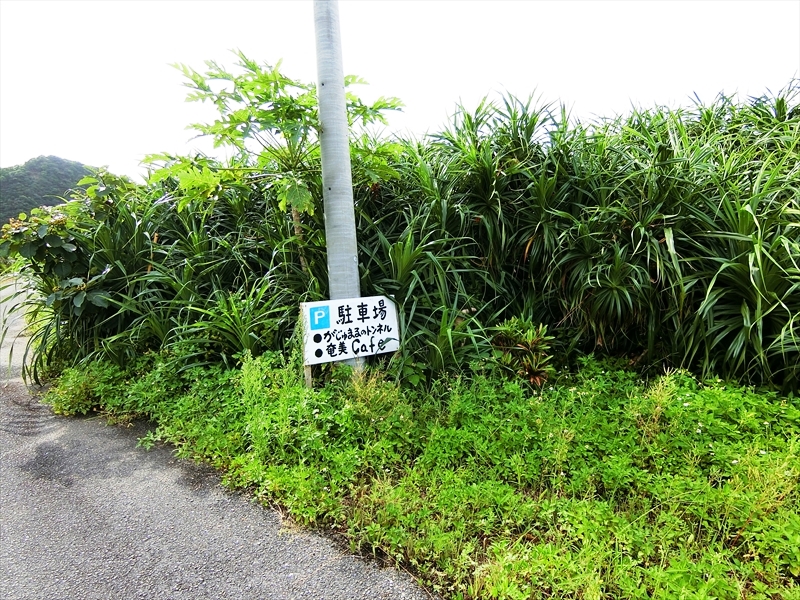 CIMG4375_R