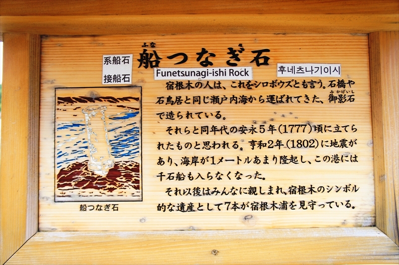 DSC04831_R