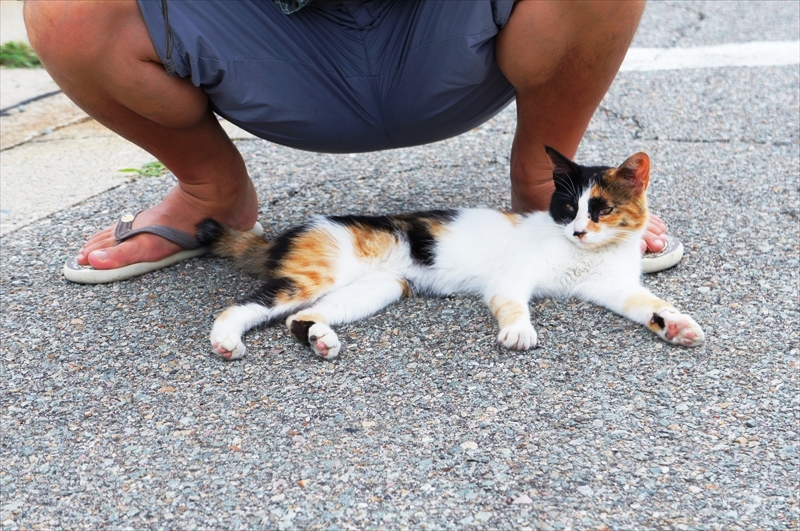 DSC05739_R