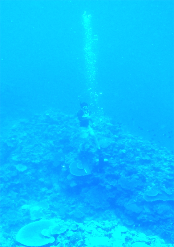 R0016987_R