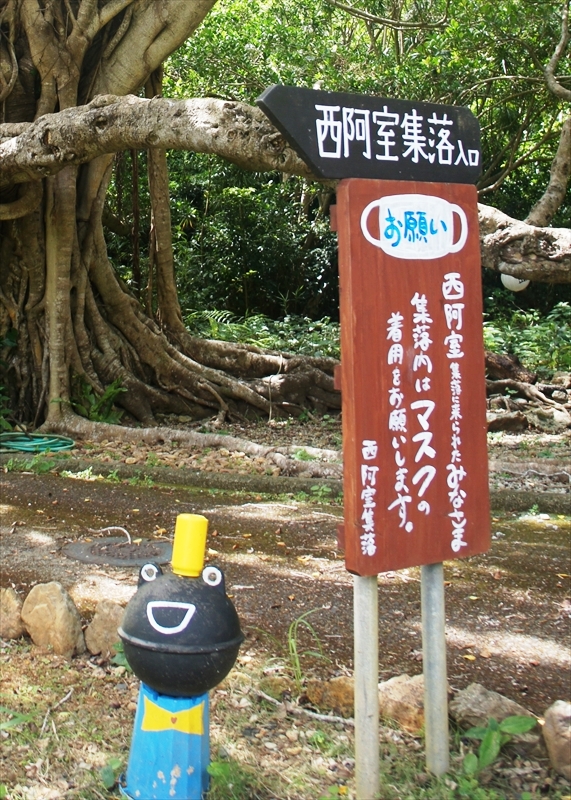 DSC00563_R