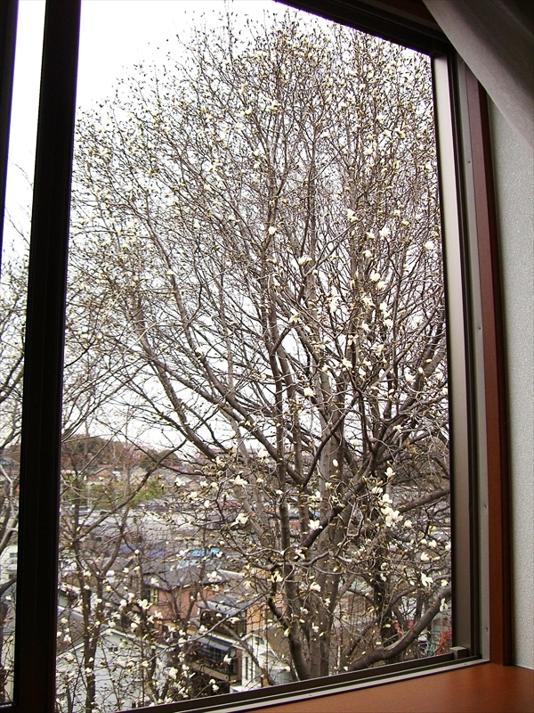 CIMG7652_R