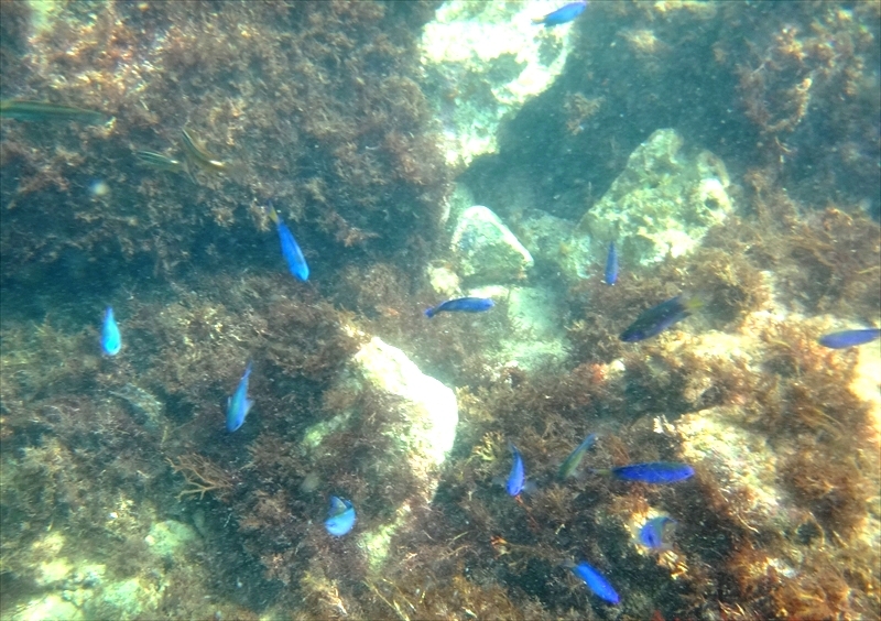 DSC00187_R