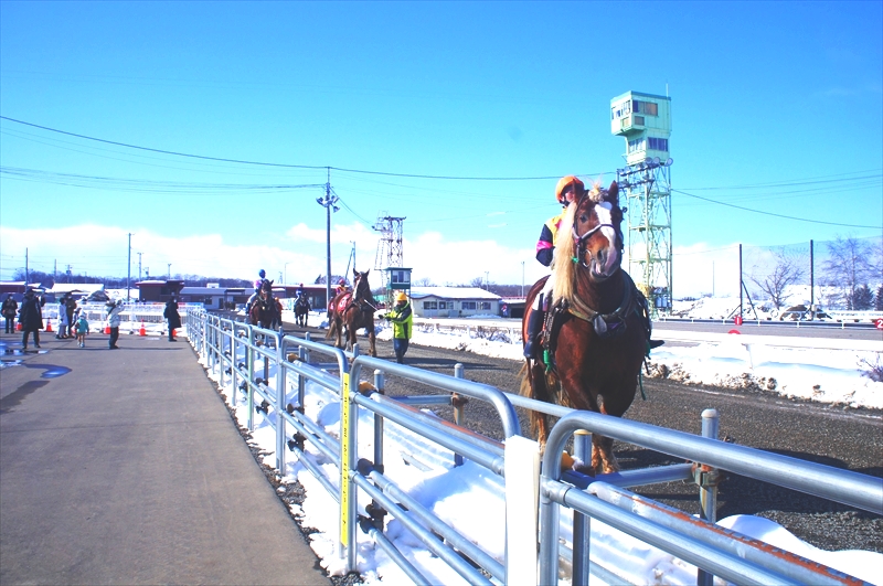 DSC00110_R