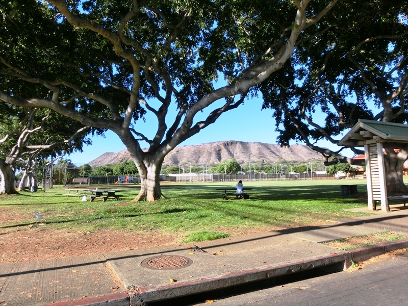 CIMG1398_R