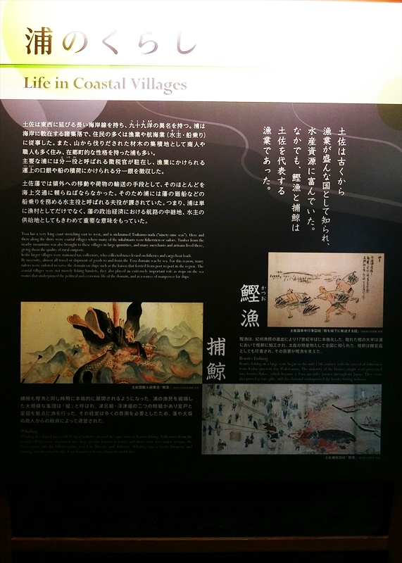 CIMG5206_R