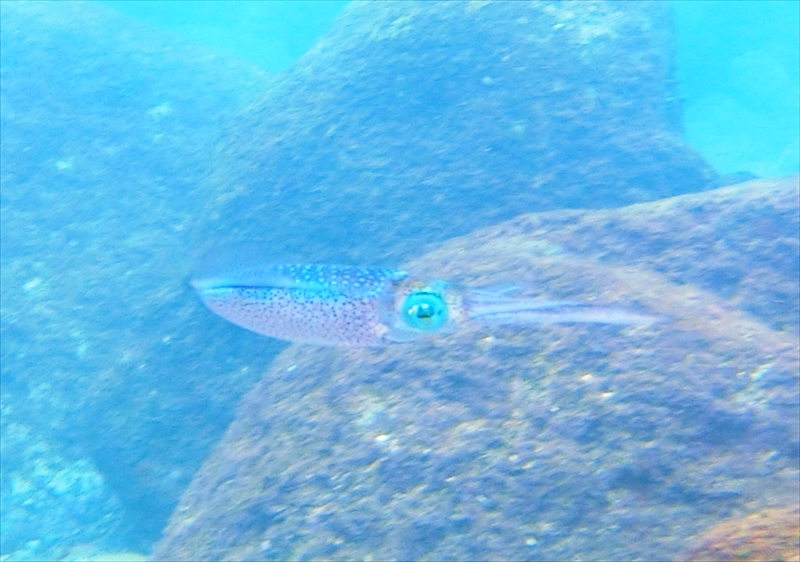 CIMG0559_R