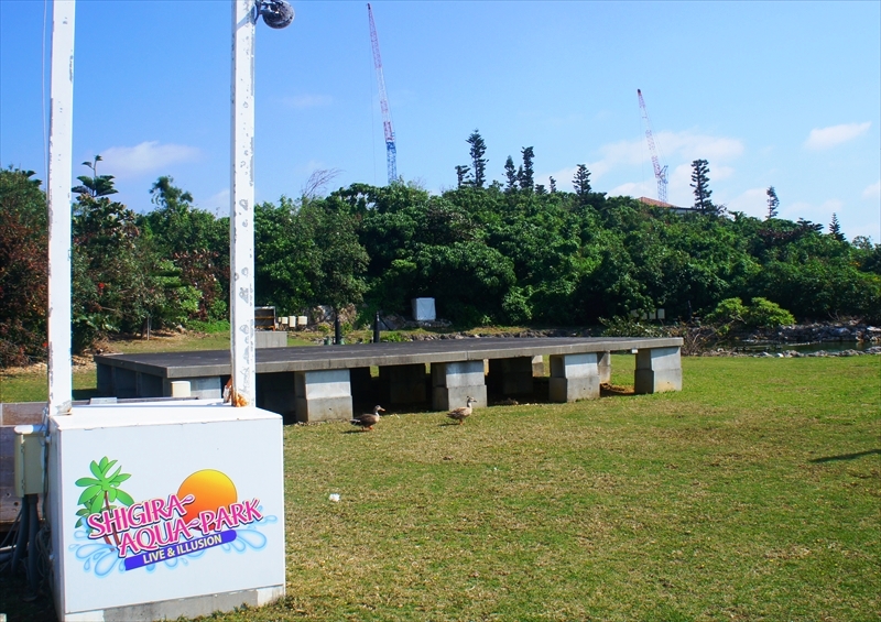 DSC01154_R