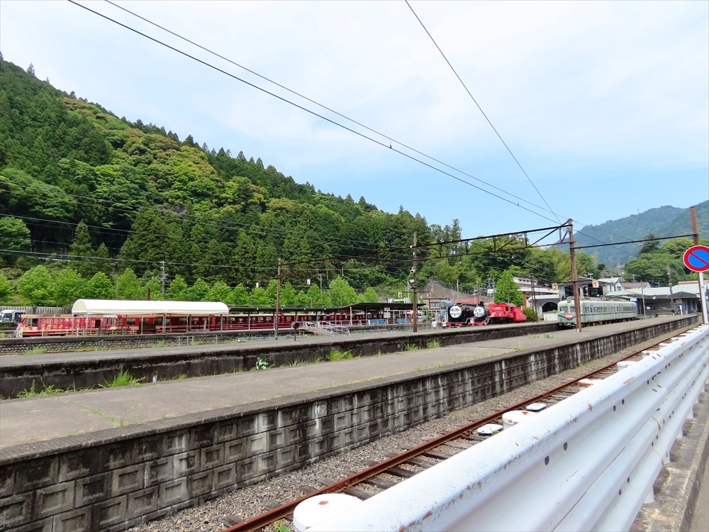 IMG_1786_R
