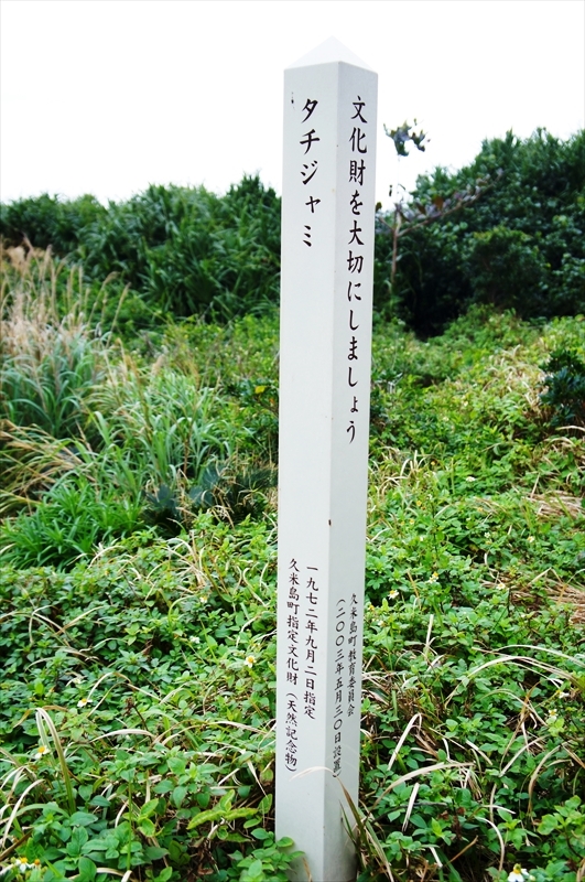 DSC02620_R