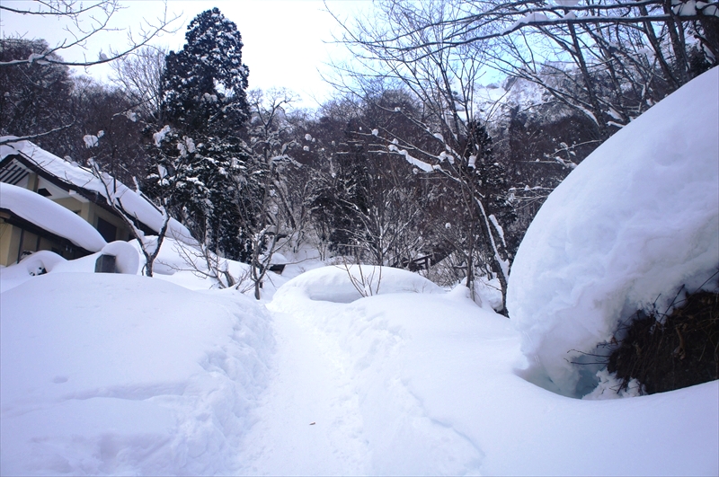DSC00189_R