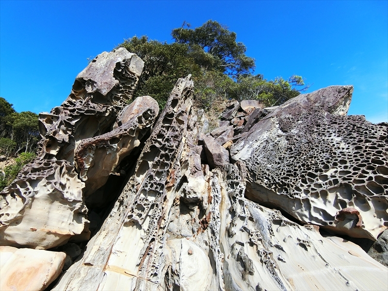 CIMG6541_R
