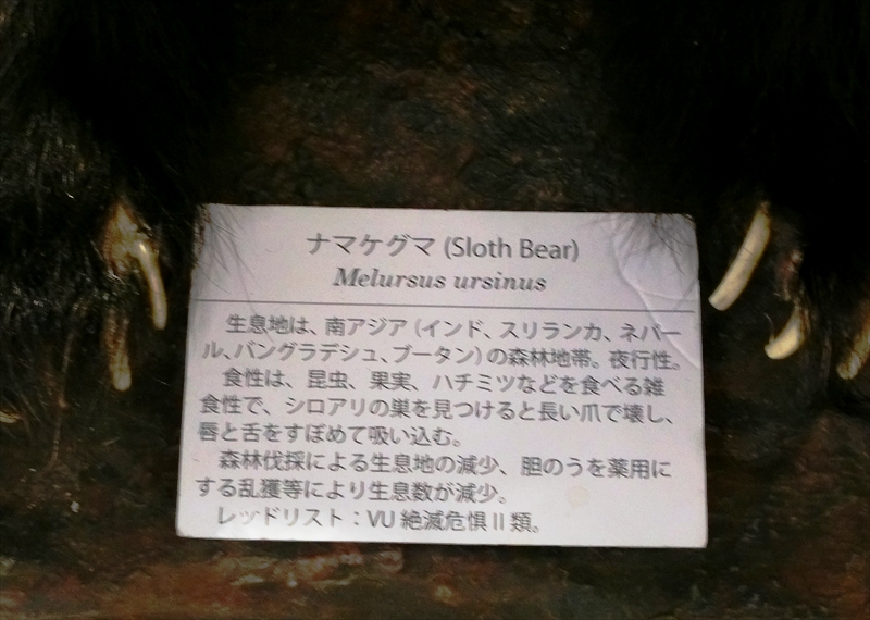 CIMG8307_R