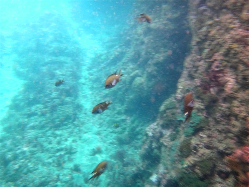 DSC07242_R