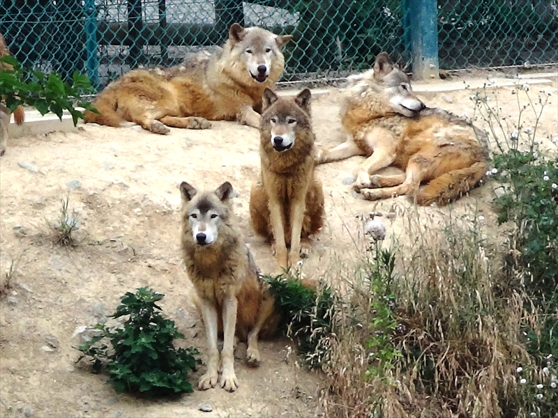 DSC05920_R