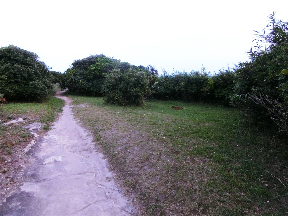 CIMG3722_R