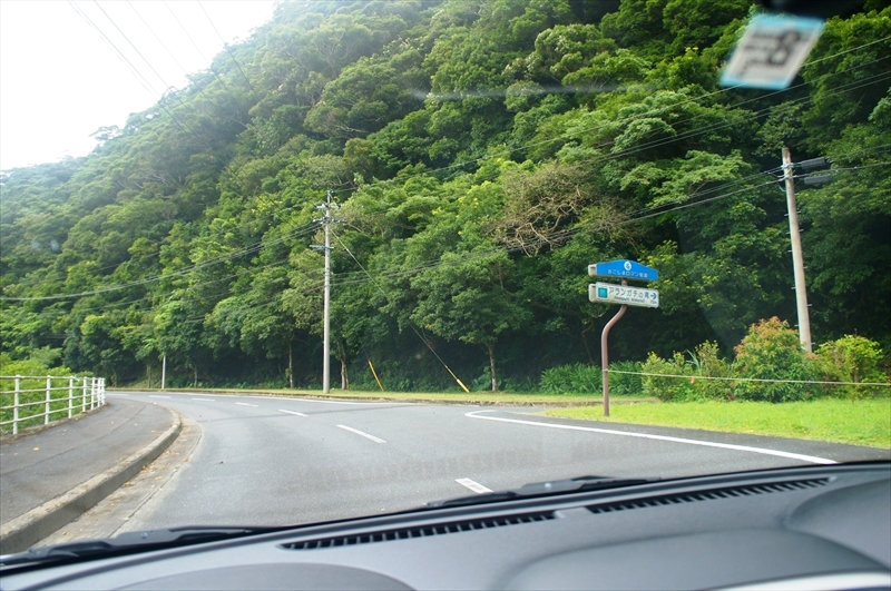 DSC00297_R