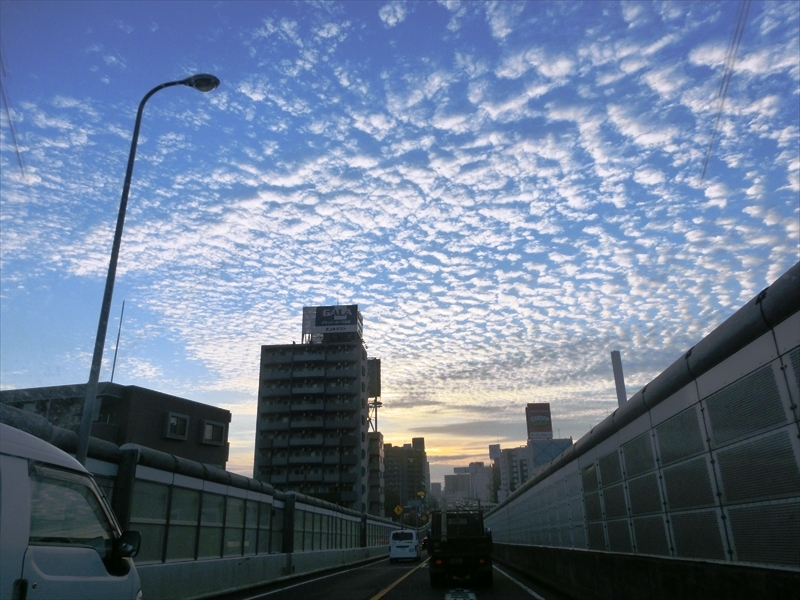 CIMG6206_R