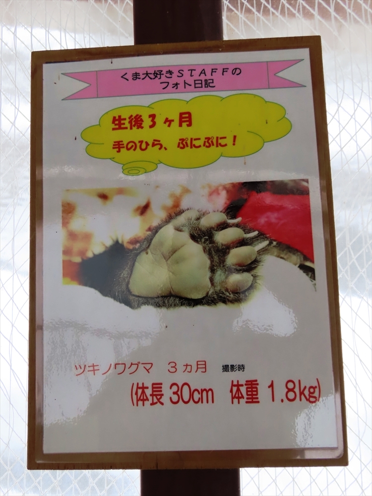 IMG_2322_R