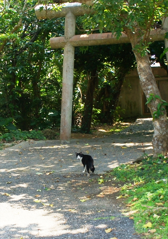 DSC00883_R