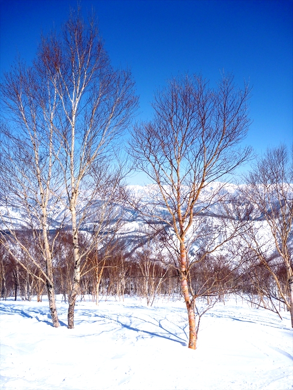 P1120360_R