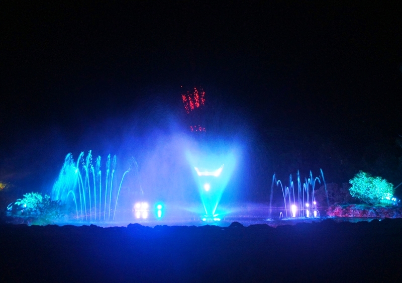 DSC00602_R