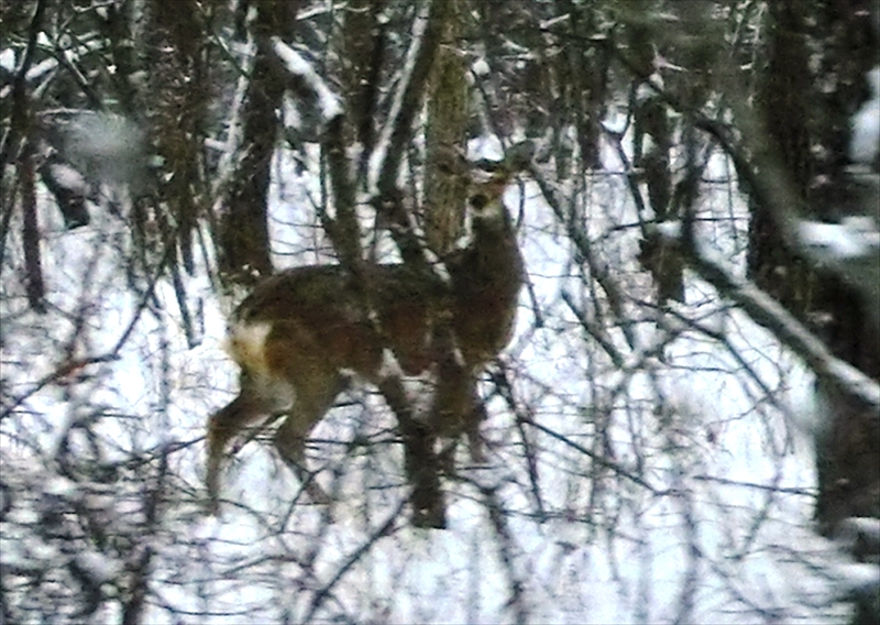 CIMG5737_R
