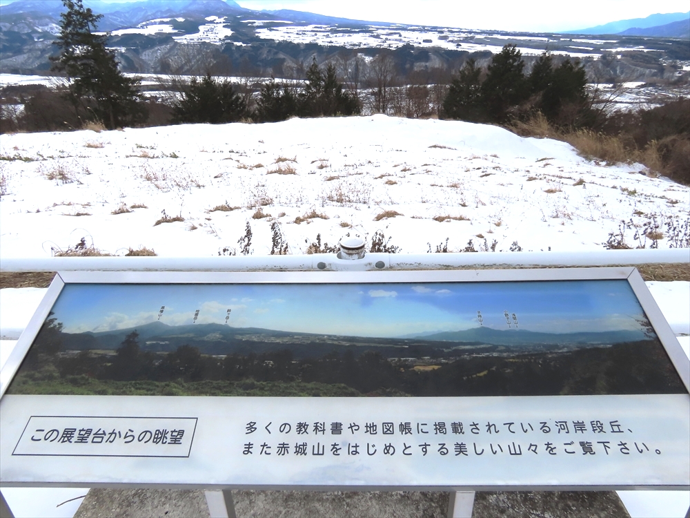 IMG_0330_R