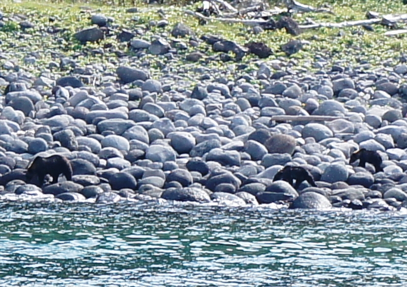 DSC00586_R
