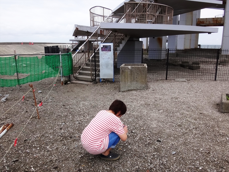 DSC03024_R