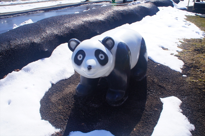 DSC00079_R