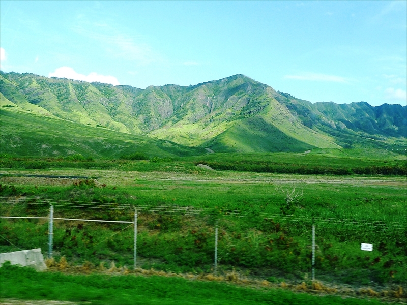 P1090345_R
