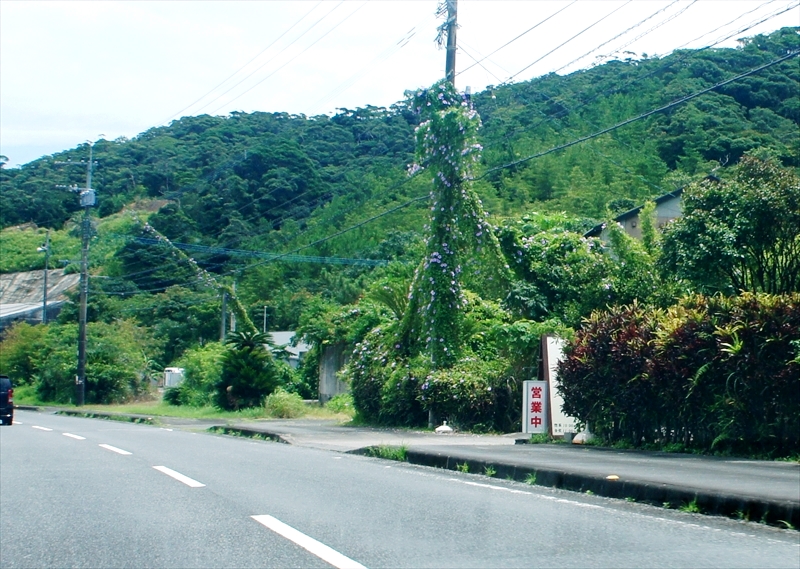 DSC00787_R