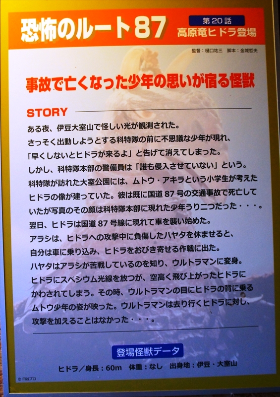 DSC02801_R