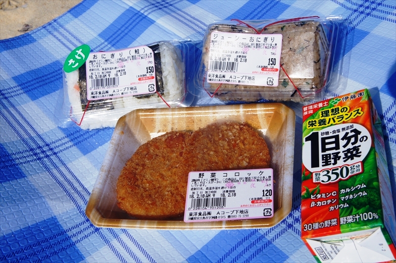 DSC00718_R