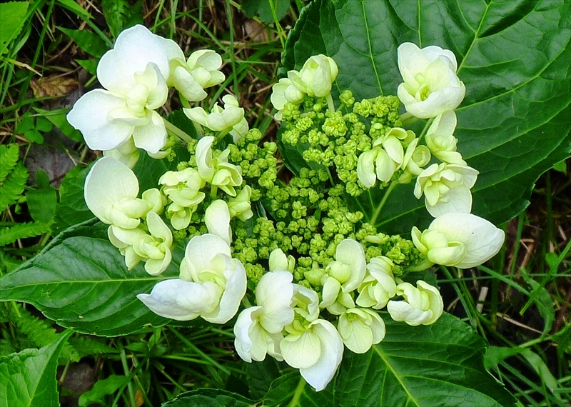 P1060378_R