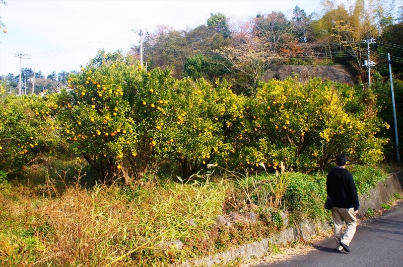 DSC00011_R