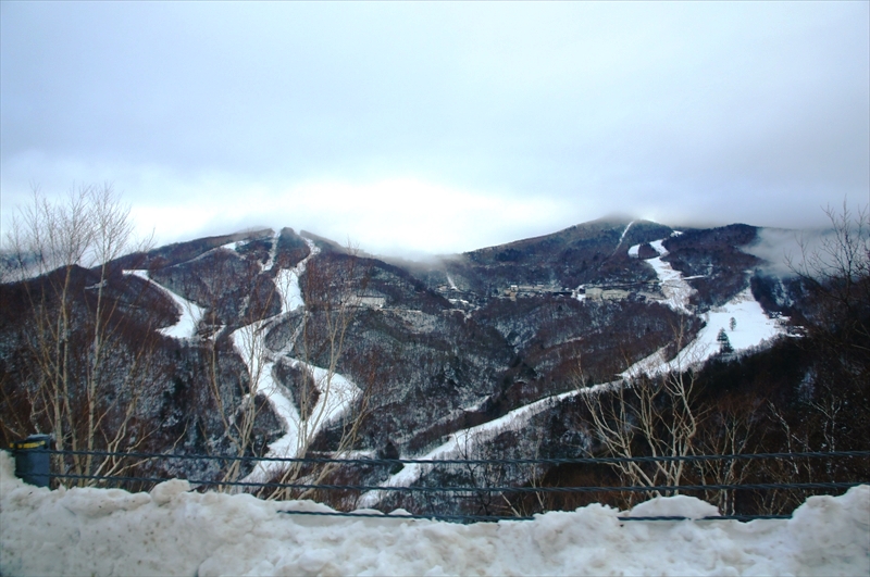 DSC02259_R